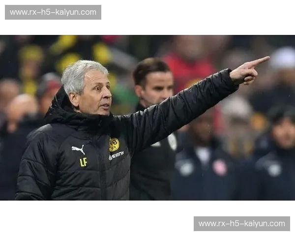 多特排名——让每一次曝光都成为机会